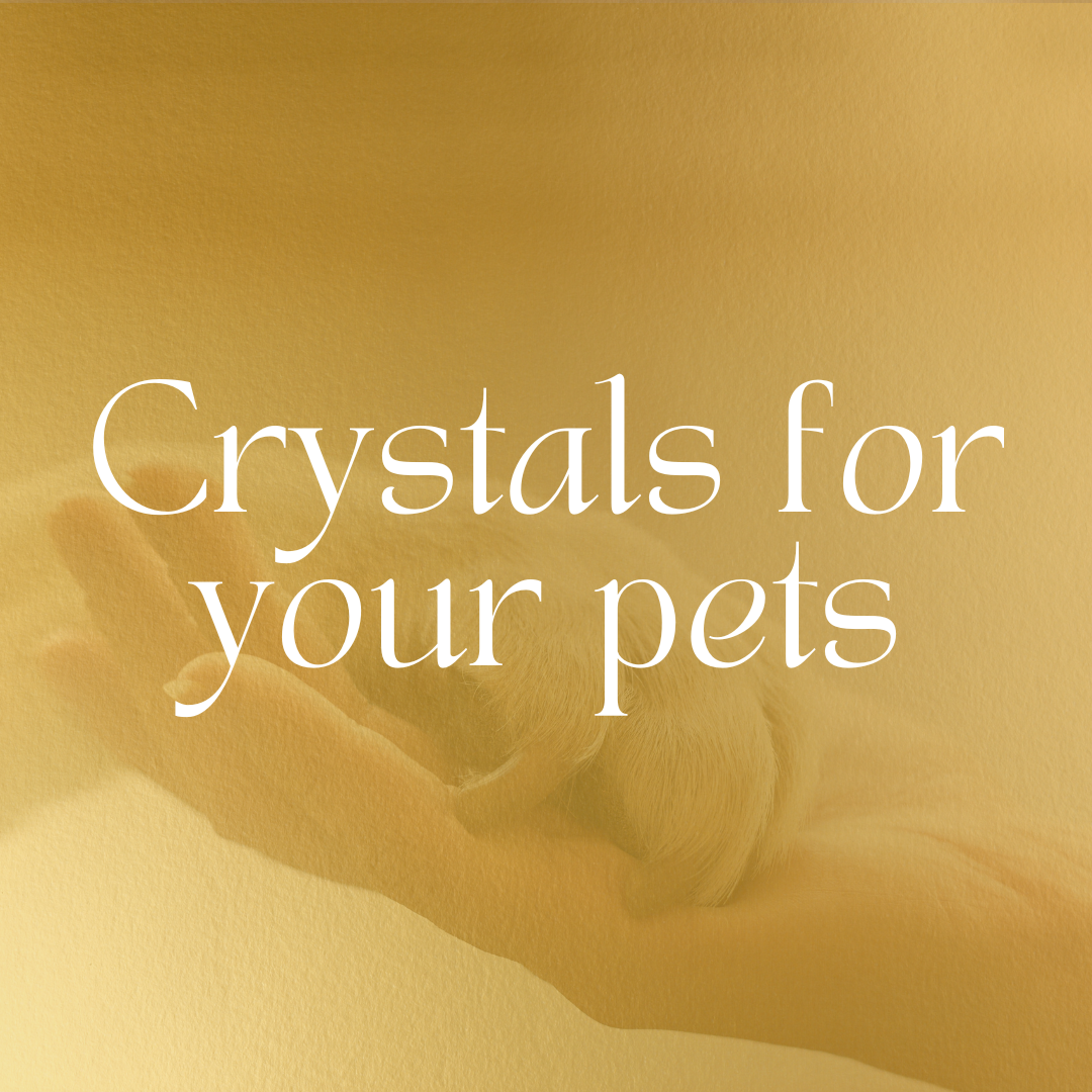 Crystals for Pets: Gentle Healing and Energy Harmony