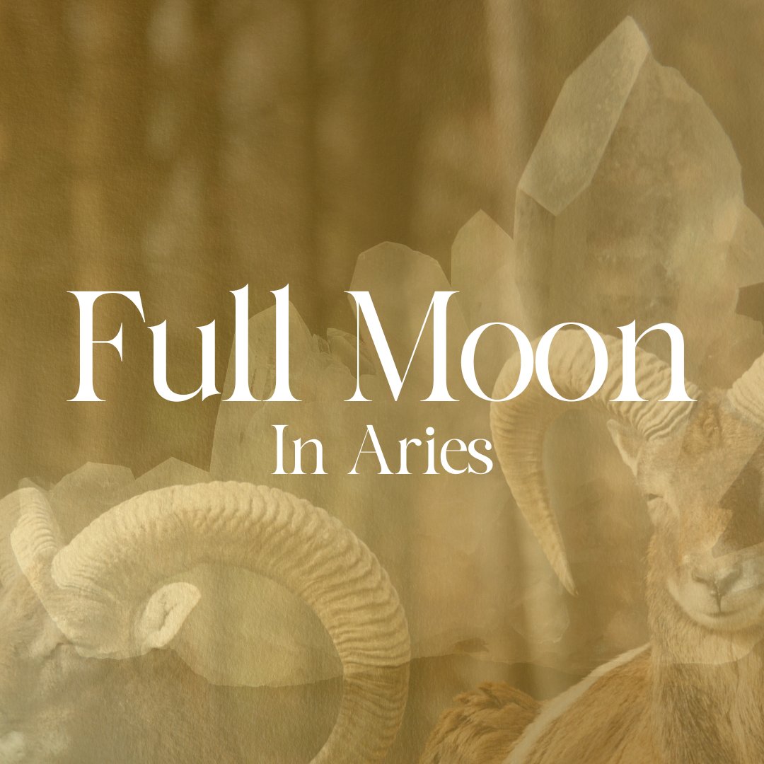 Full Moon in Aries September 2023 - A Guide for Courageous Spiritual Growth - Knight Inspired 