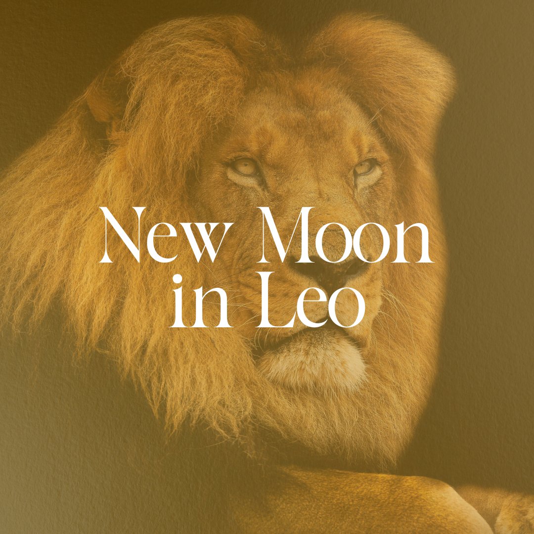 New Moon in Leo: August 16 2023 - Knight Inspired 