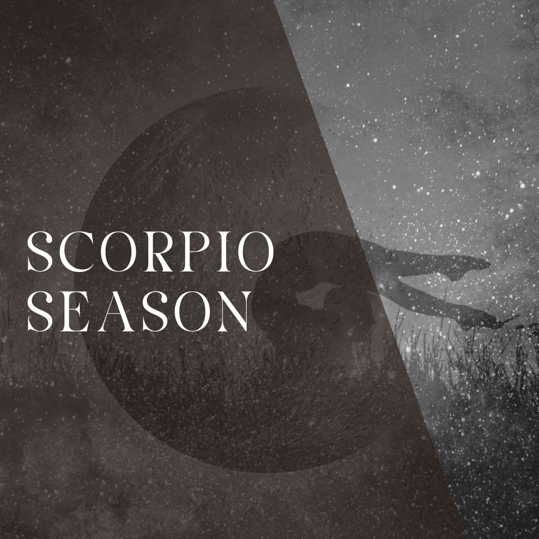 Scorpio Season: A time of Re-Birth & Transformation - Knight Inspired 