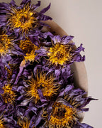 Organic Blue Lotus (Flowers) | Relaxation ✧ Awareness ✧ Meditation