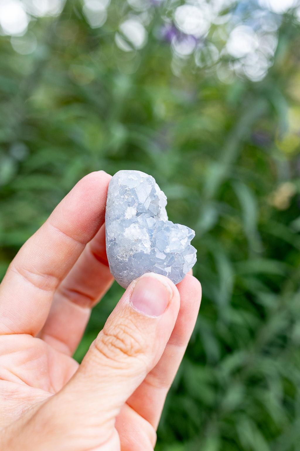 Celestite Cluster #8