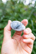 Celestite Cluster #8