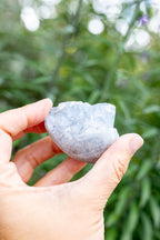 Celestite Cluster #9