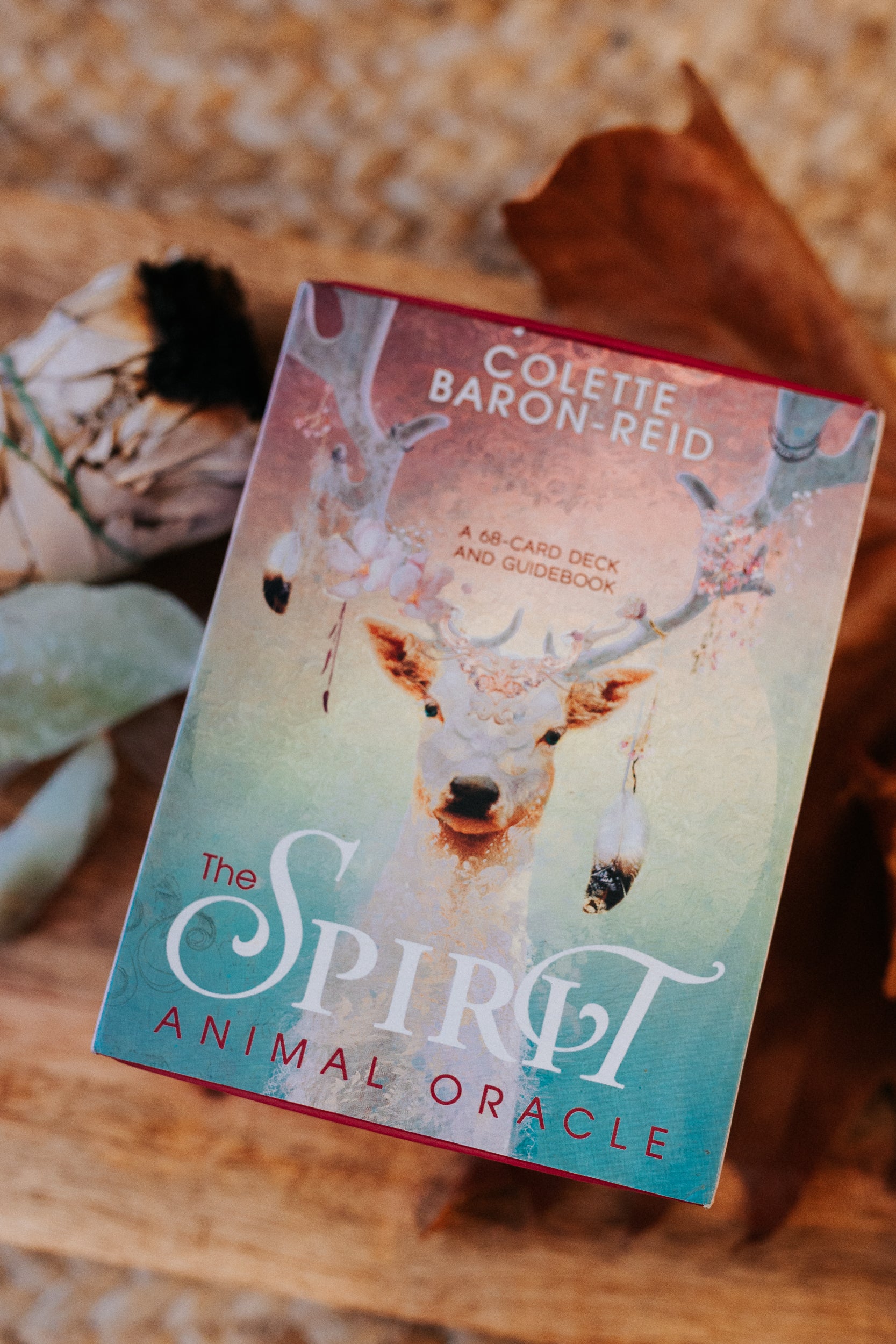 The Spirit Animal Oracle