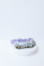 Amethyst Cluster #1 | Calm ✧ Protection ✧ Higher Guidance