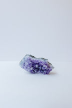 Amethyst Cluster #2 | Calm ✧ Protection ✧ Higher Guidance