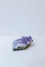 Amethyst Cluster #2 | Calm ✧ Protection ✧ Higher Guidance