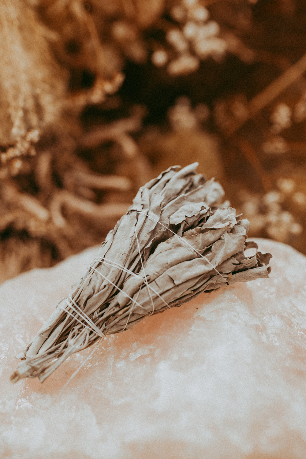 Organic NZ Grown White Sage Bundle