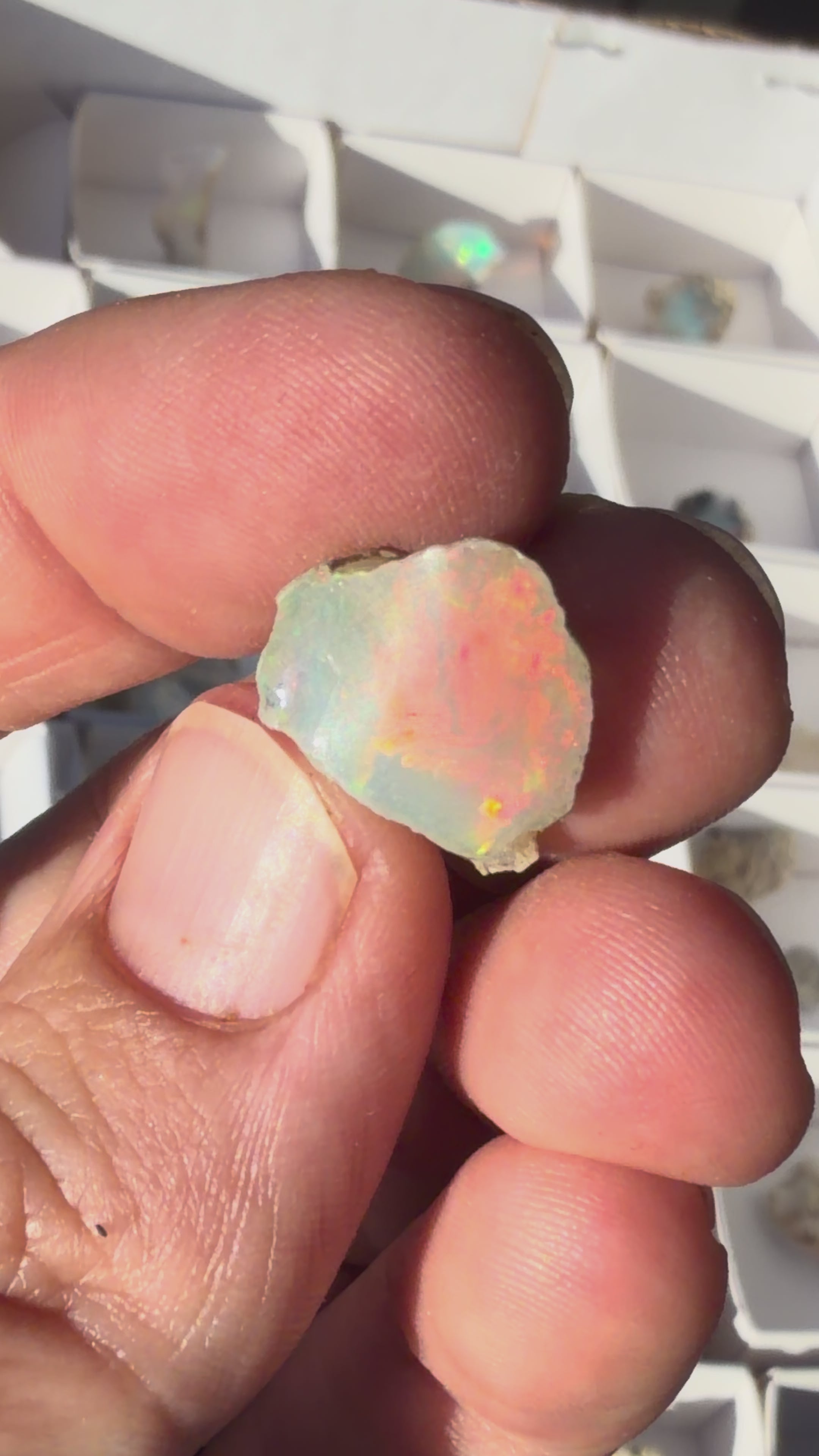 Ethiopian Opal Crystal Piece #31