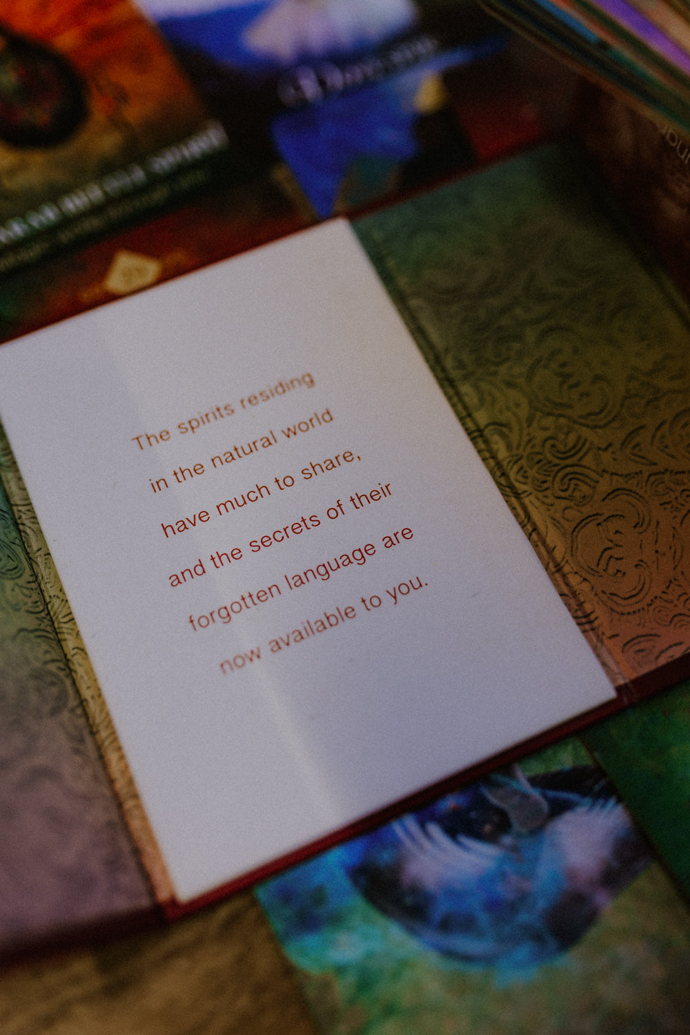 The Spirit Animal Oracle