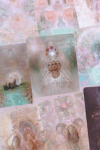 The Rose Oracle: A 44-Card Deck and Guidebook