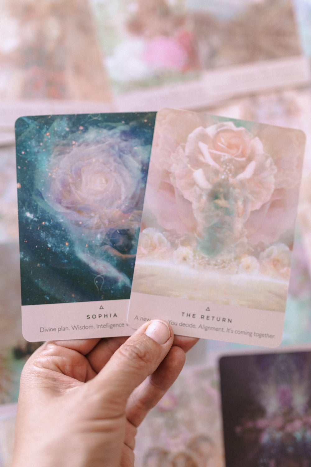 The Rose Oracle: A 44-Card Deck and Guidebook