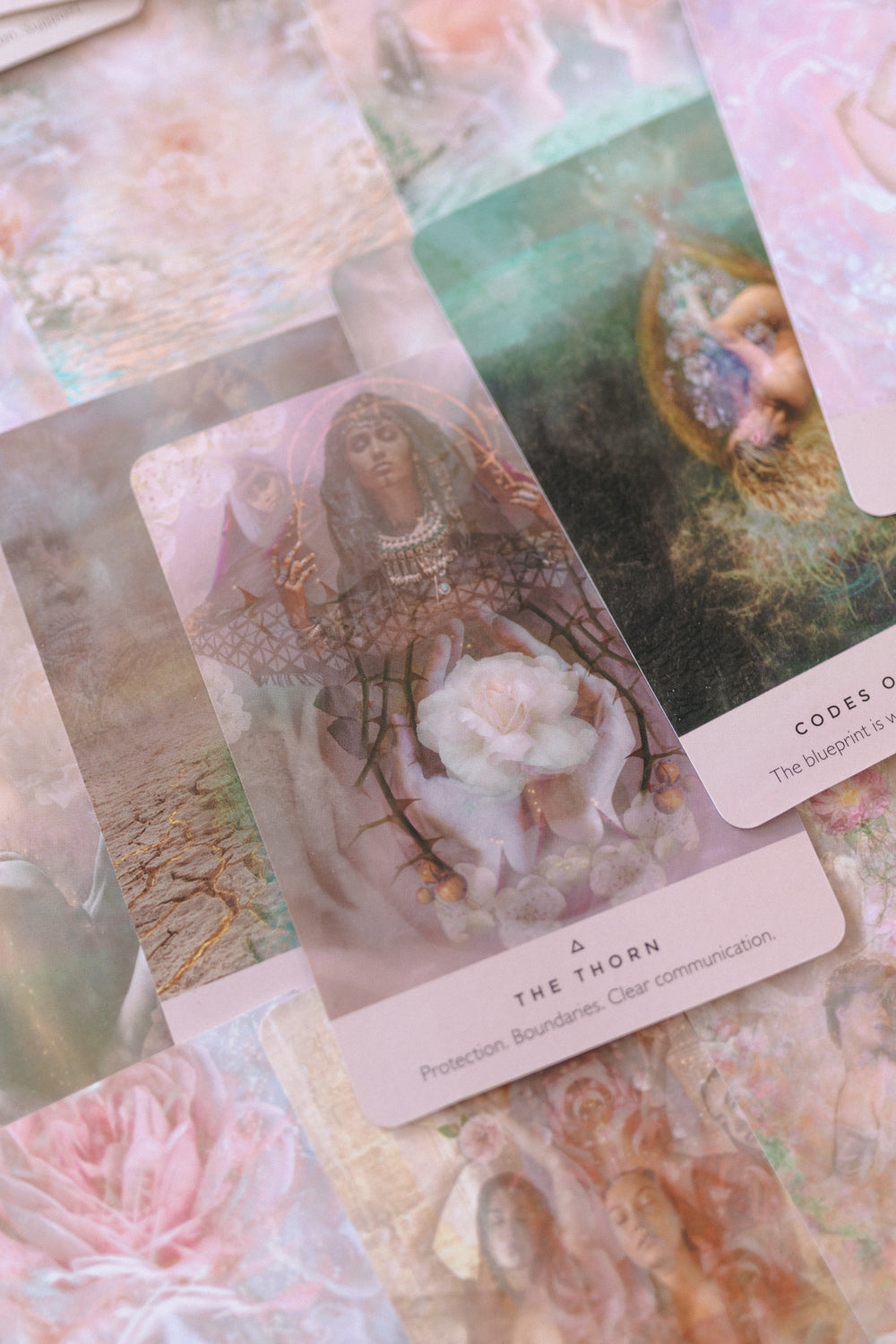 The Rose Oracle: A 44-Card Deck and Guidebook