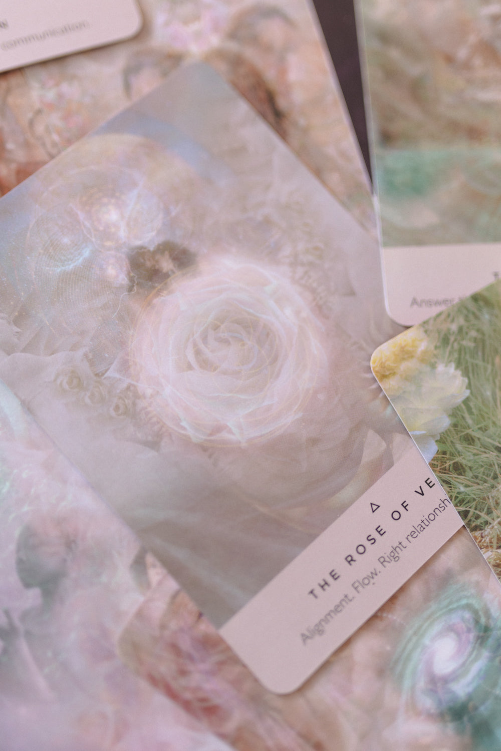 The Rose Oracle: A 44-Card Deck and Guidebook